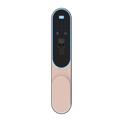 Good price High Security Finger Vein Recognition Smart Home Door Lock English / Chinese Language online